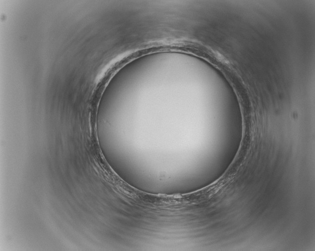 X0000052541214200507291842