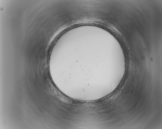 X0000052541216200507291842