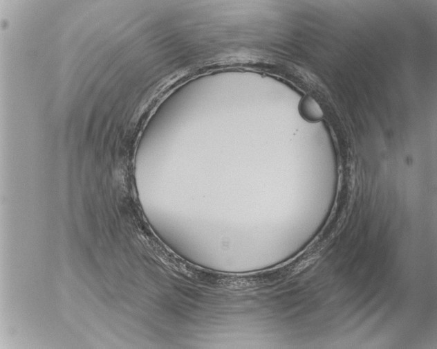 X0000052541217200507291842