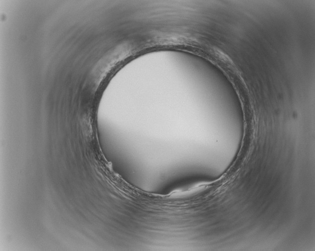 X0000052541218200507291842