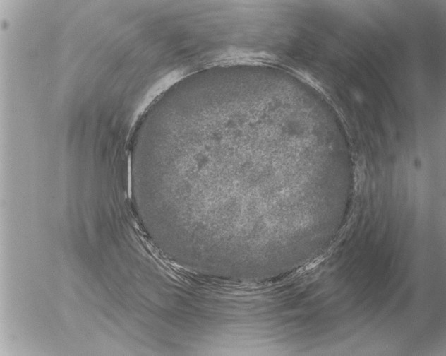 X0000052541219200507291842