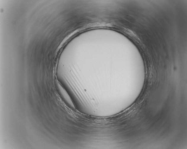 X0000052541220200507291842