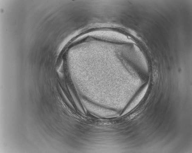 X0000052541221200507291842