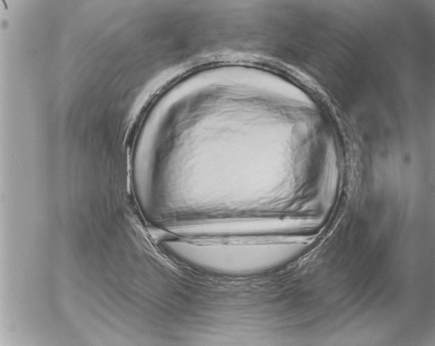 X0000052541223200507291842