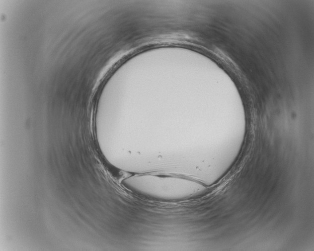 X0000052541224200507291842