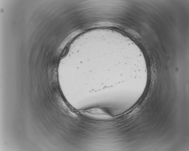 X0000052541225200507291842