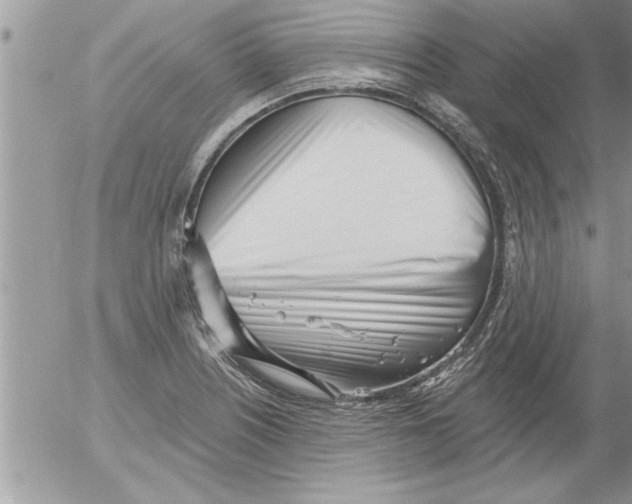 X0000052541226200507291842