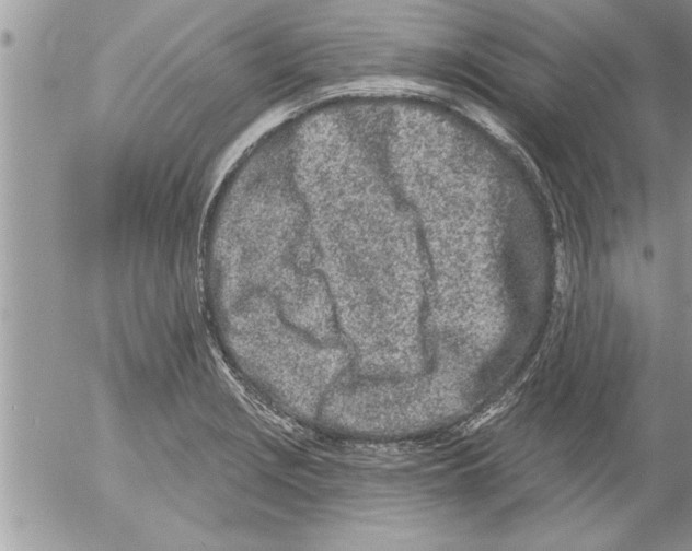 X0000052541229200507291842