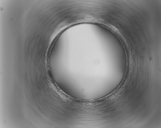 X0000052541230200507291842