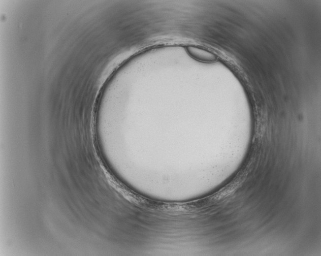 X0000052541231200507291842