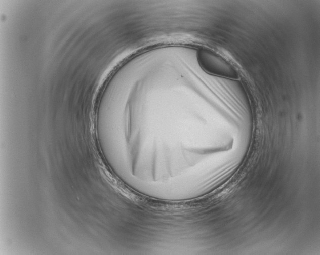 X0000052541232200507291842