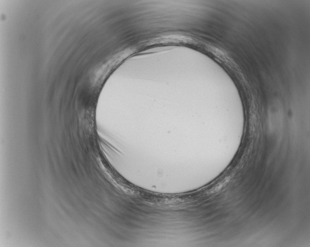 X0000052541233200507291842