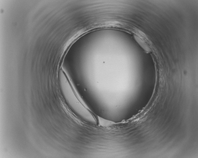 X0000052541234200507291842