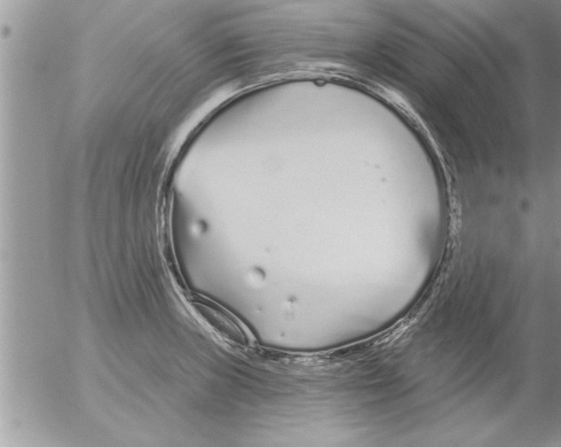 X0000052541235200507291842