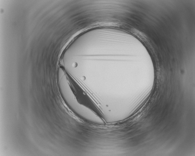 X0000052541236200507291842