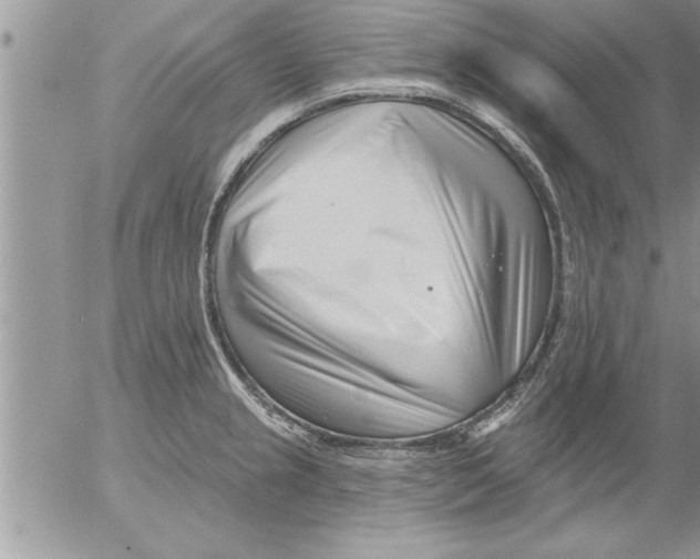 X0000052541237200507291842