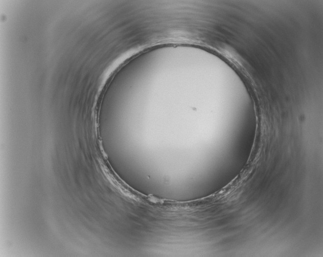 X0000052541238200507291842