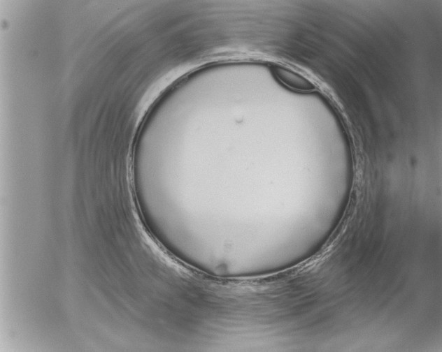 X0000052541239200507291842