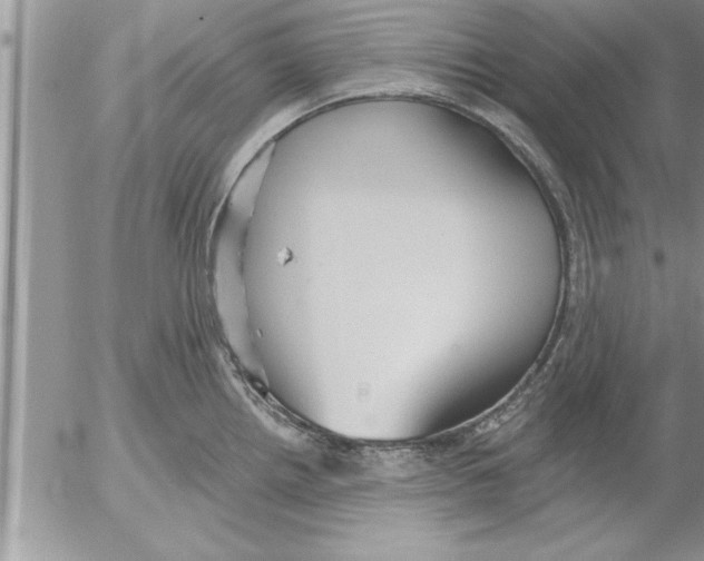 X0000052541242200507291842