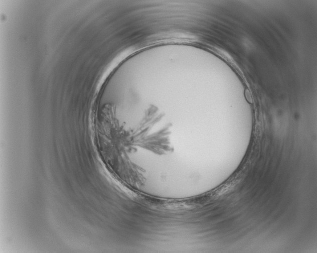 X0000052541243200507291842