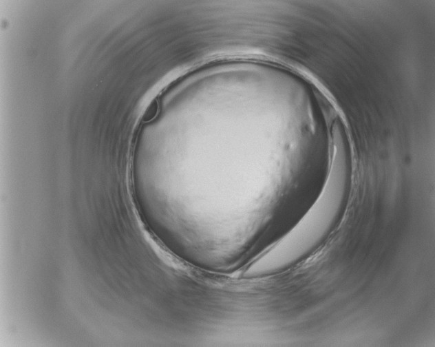 X0000052541245200507291842