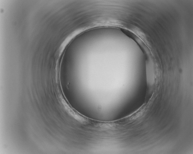 X0000052541246200507291842