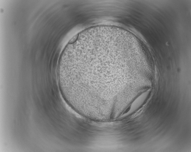 X0000052541247200507291842