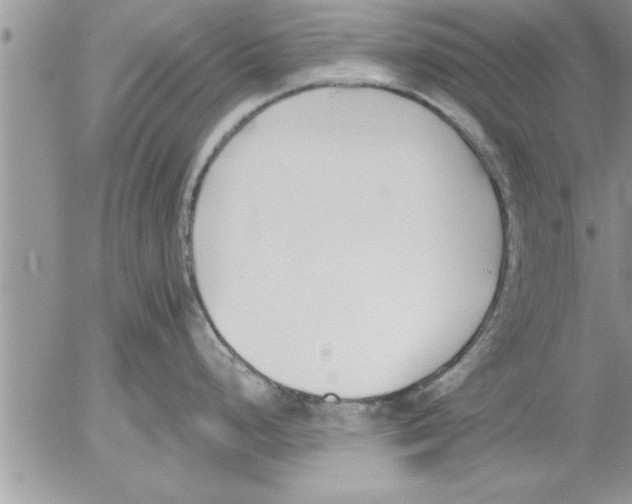 X0000052541248200507291842