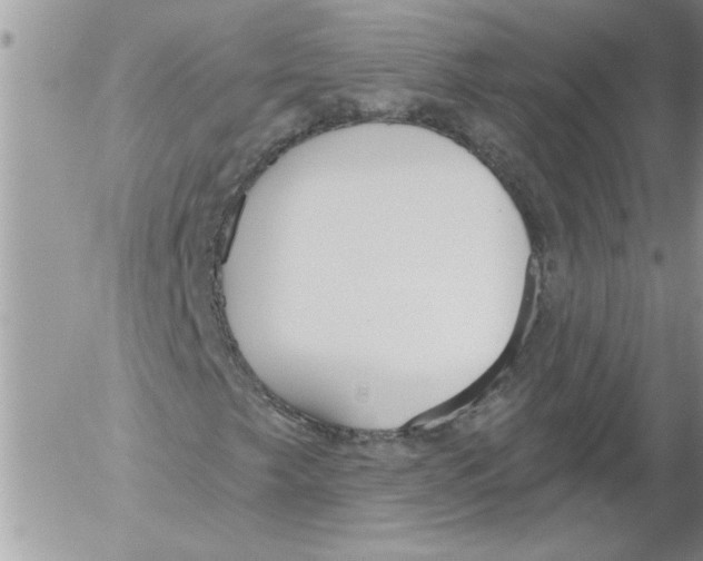 X0000052541249200507291841