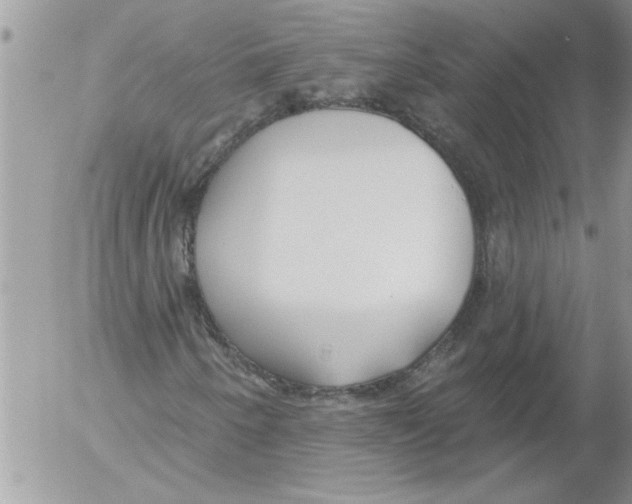 X0000052541250200507291841