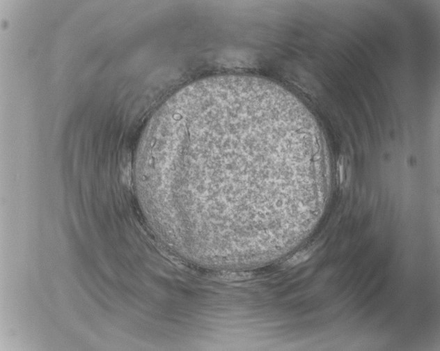 X0000052541251200507291841