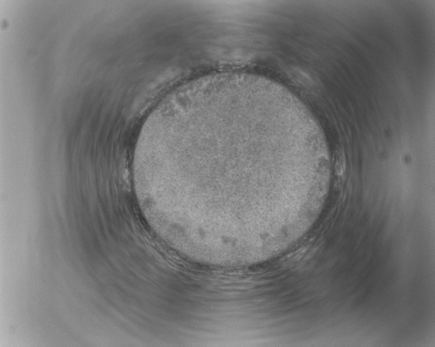 X0000052541252200507291841