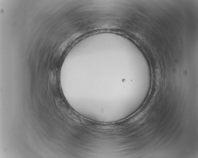 X0000052541257200507291841