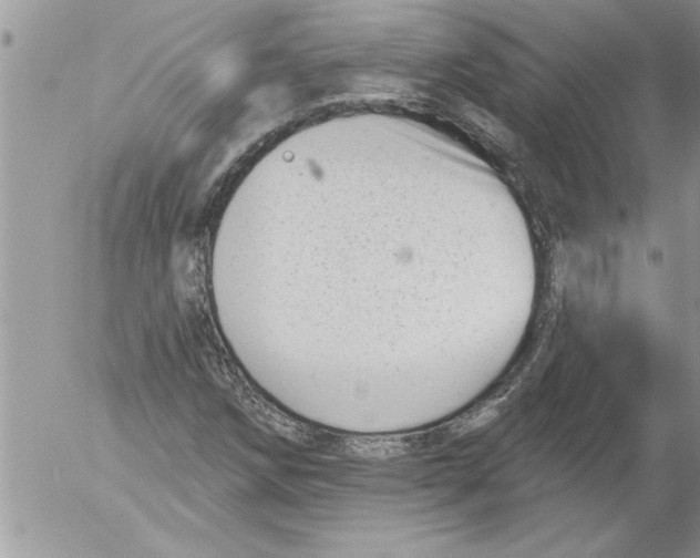 X0000052541258200507291841