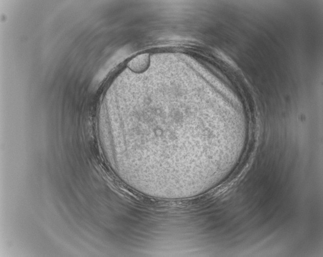 X0000052541259200507291841