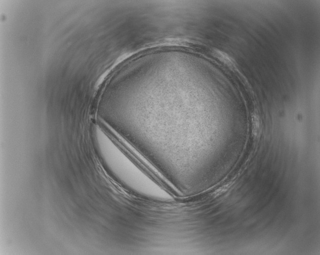 X0000052541260200507291841