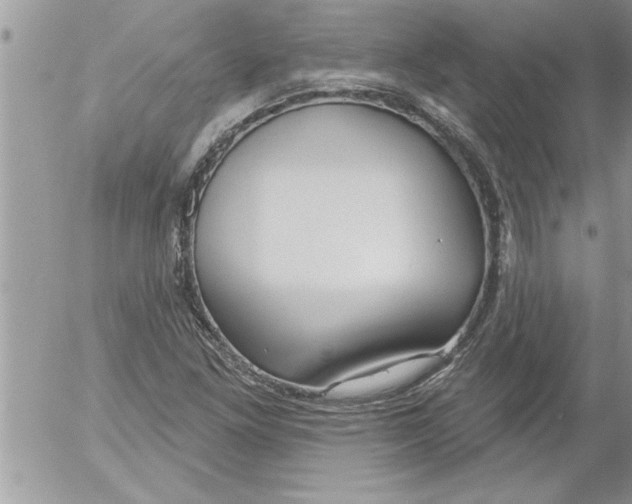 X0000052541261200507291841