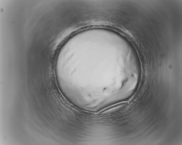 X0000052541263200507291841