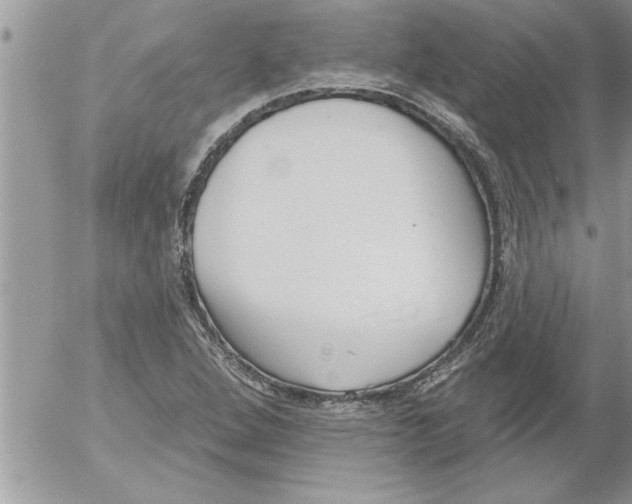 X0000052541264200507291841