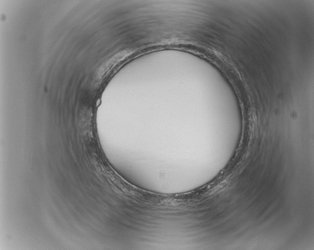 X0000052541265200507291841