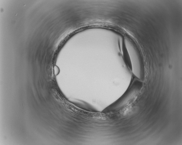 X0000052541267200507291841