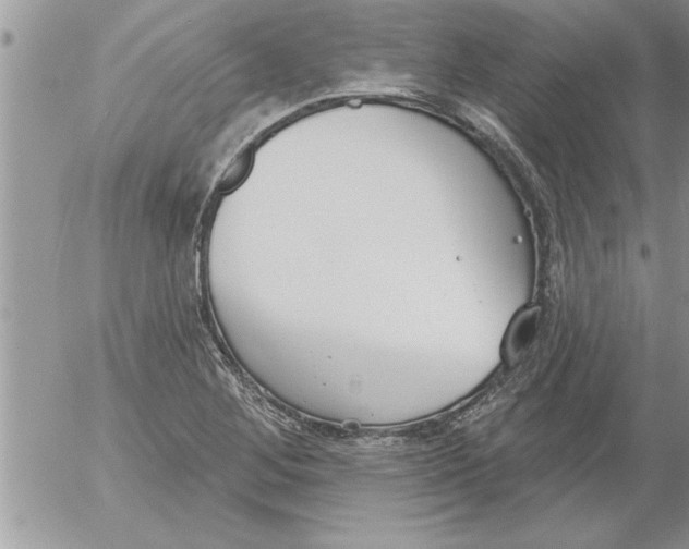 X0000052541268200507291841