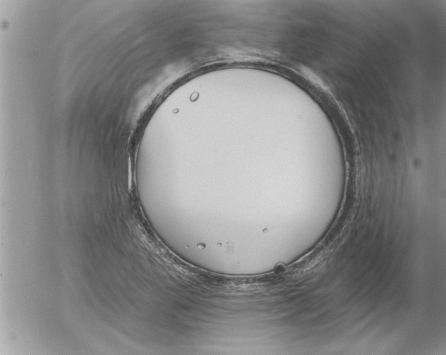 X0000052541269200507291841