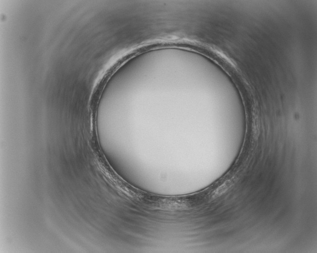 X0000052541270200507291841