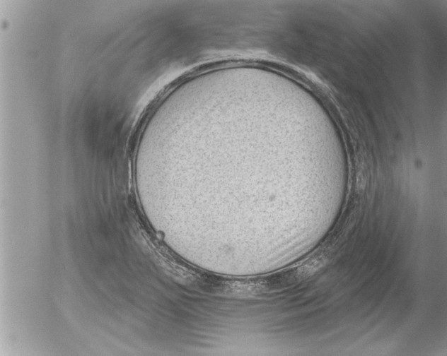 X0000052541271200507291841