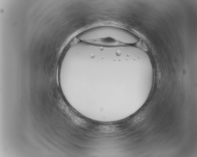 X0000052541272200507291841