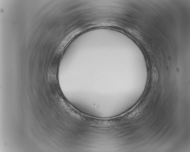 X0000052541273200507291841