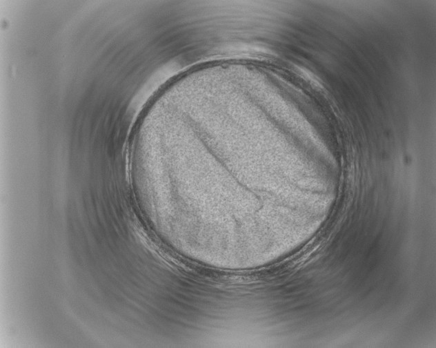 X0000052541275200507291841