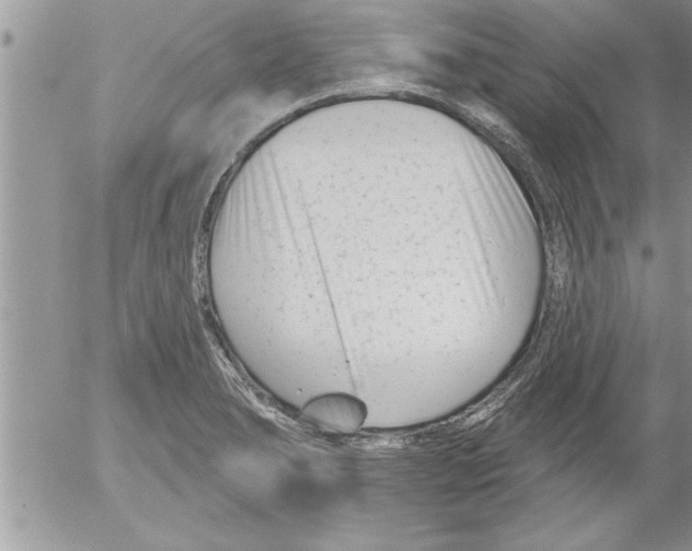 X0000052541278200507291841