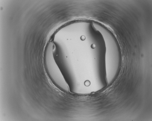 X0000052541279200507291841